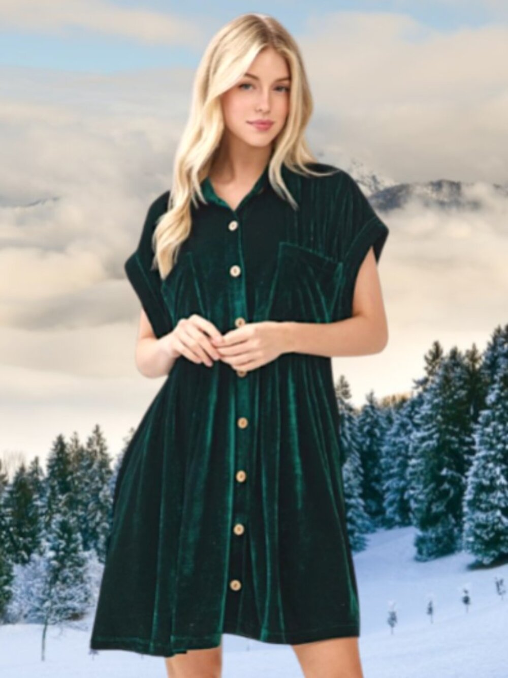 Holy Holly Velvet Dress 🆕️